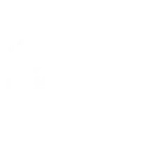 Scottish Premier League badge