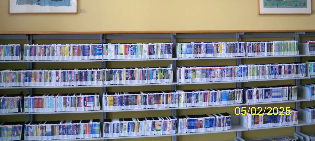 Large collection of DVD movies inside the MDPLS Hispanic Branch Library
